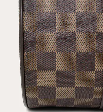 LOUIS VUITTON Papillon 30 - Master
