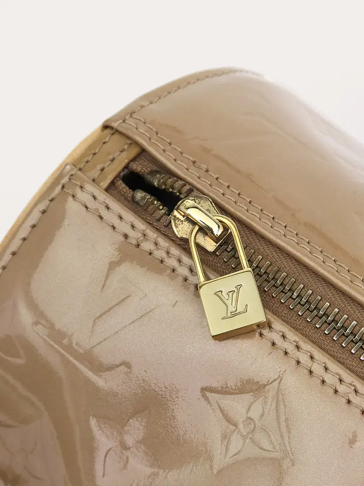 LOUIS VUITTON Papillon 30 - Master